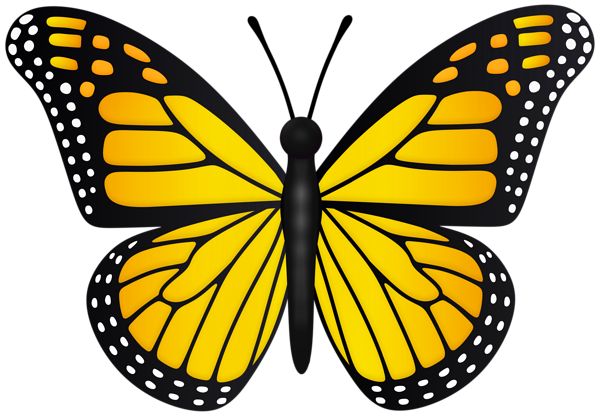 The Symbolic Meaning of the Yellow Butterfly: A Fascinating Guide